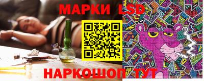 сатива Краснознаменск